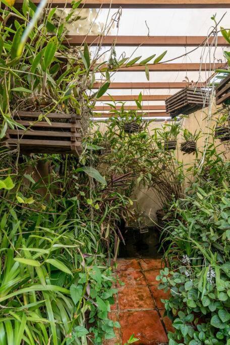 Mrw Artist's Atelier Orchid Oasis 3br House