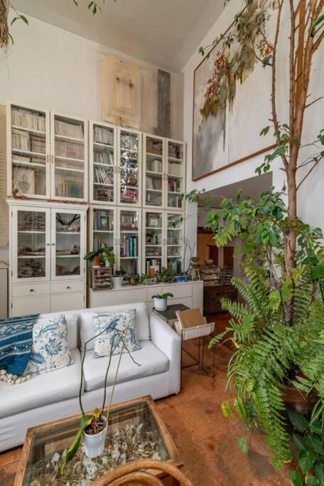 Mrw Artist's Atelier Orchid Oasis 3br House Holiday home Mexico City