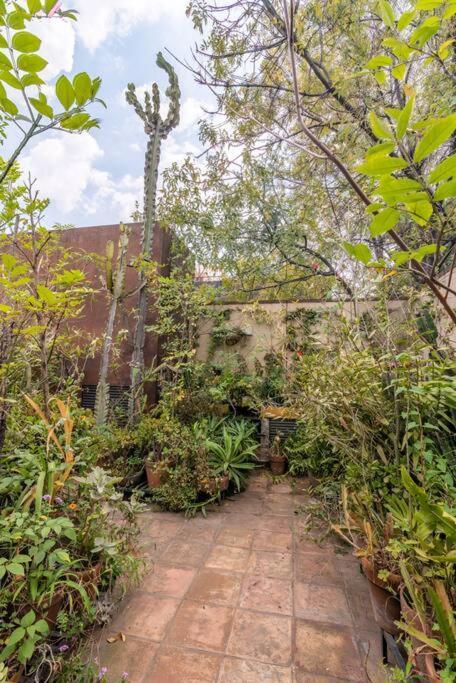 Mrw Artist's Atelier Orchid Oasis 3br House Holiday home Mexico City