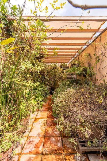Mrw Artist's Atelier Orchid Oasis 3br House *