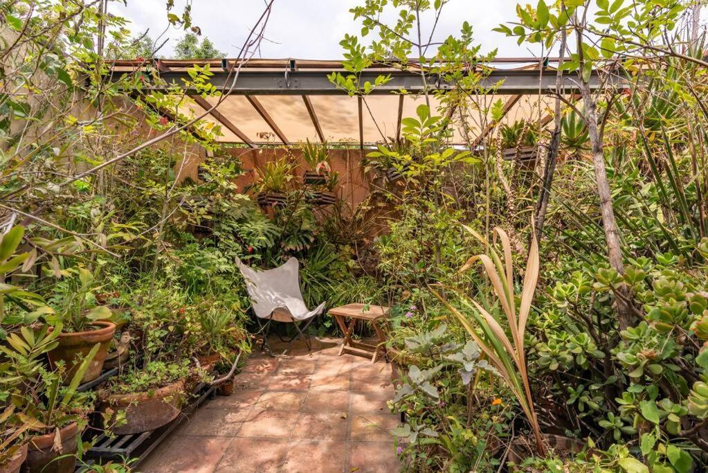 Mrw Artist's Atelier Orchid Oasis 3br House