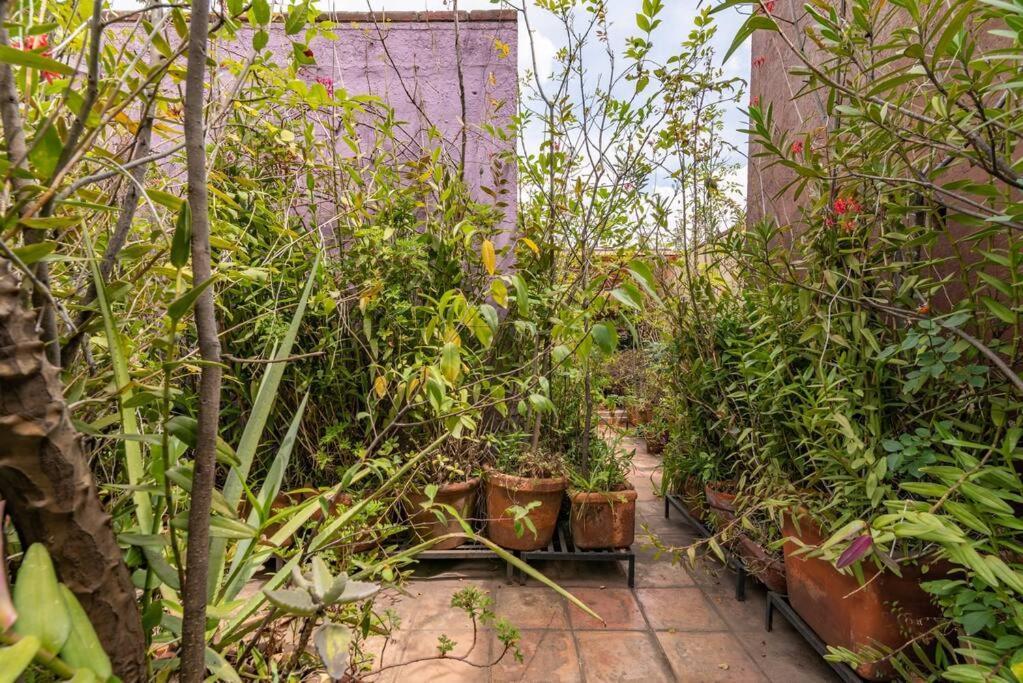 Mrw Artist's Atelier Orchid Oasis 3br House Holiday home Mexico City